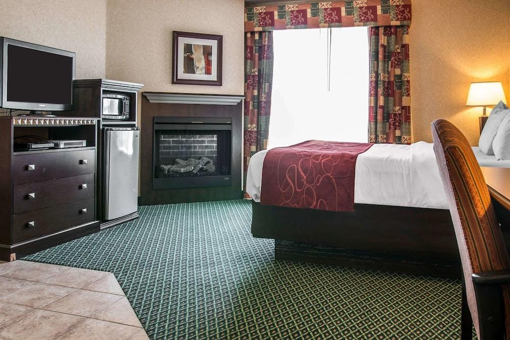 Comfort Suites Canton - Detroit photo 5