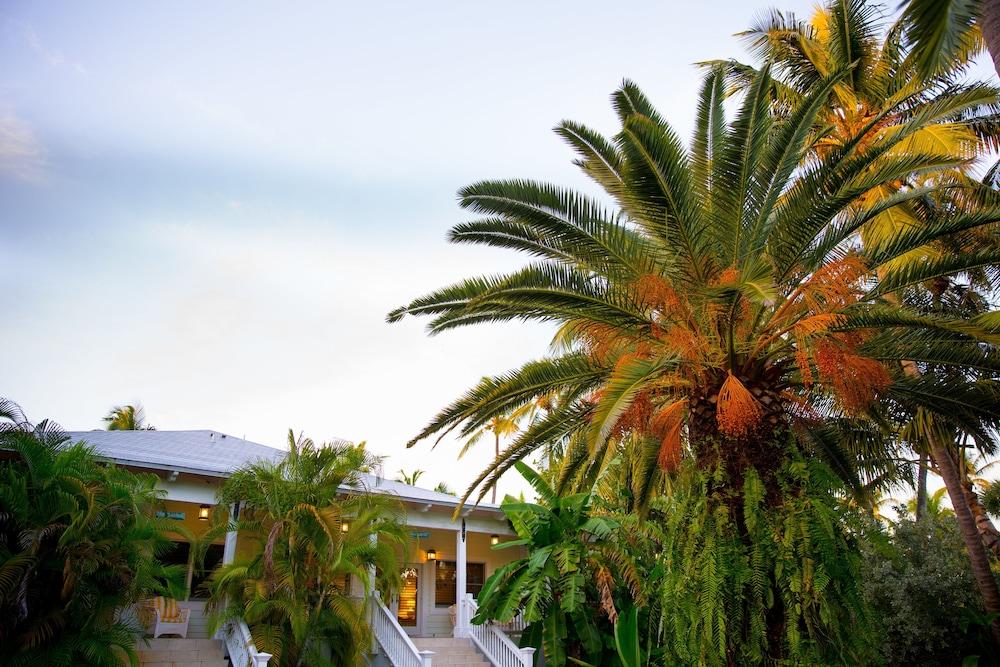 The Caribbean Resort photo 58