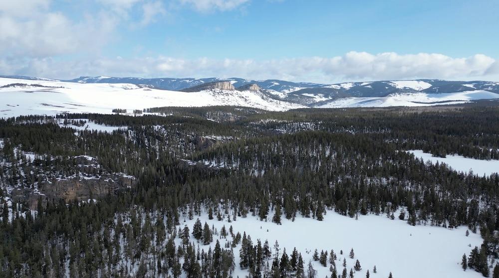 Bear Lodge Resort photo 17