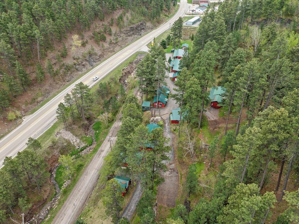 Ponderosa Pines photo 58