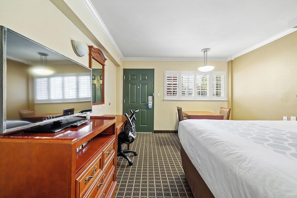 Alexis Park Hotel photo 39