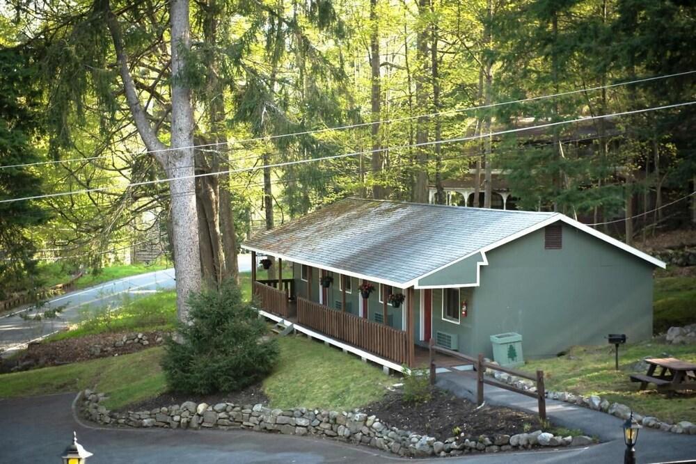 Forest Hill Lodge & Cabins photo 25