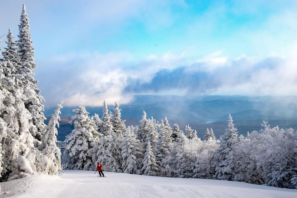 Vantage Point Villas at Stratton Mountain Resort photo 20