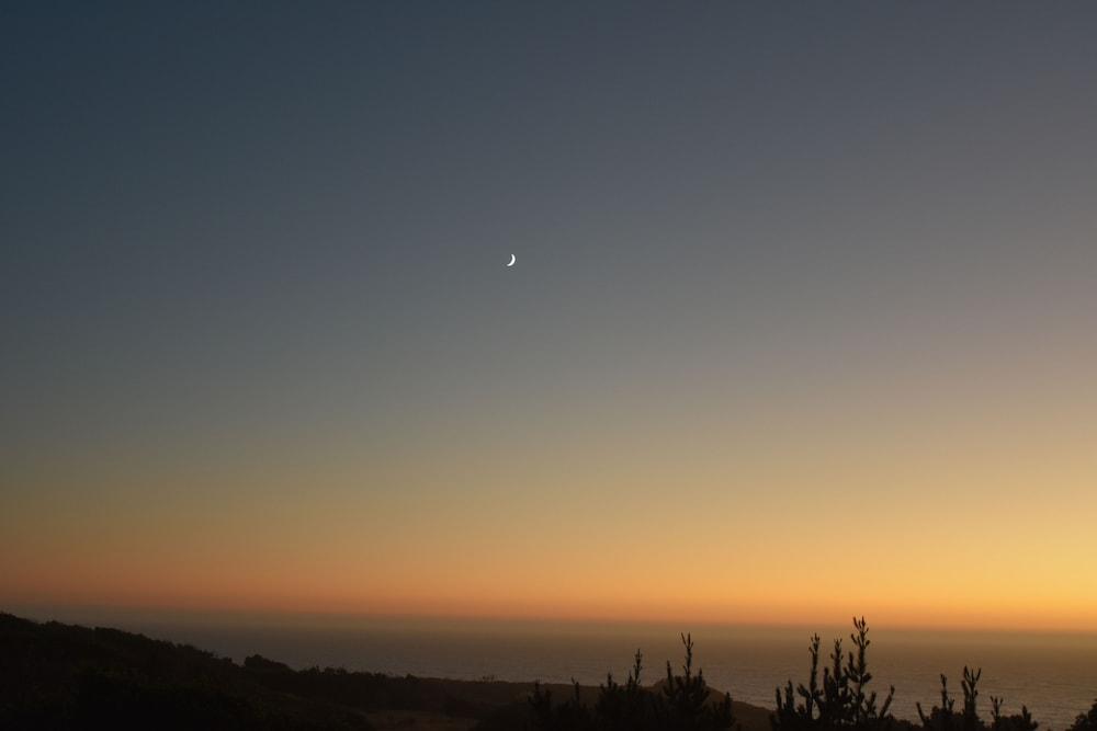 Fort Ross Lodge photo 22
