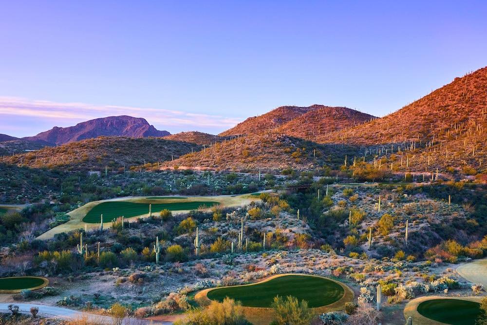 JW Marriott Starr Pass Resort and Spa photo 7