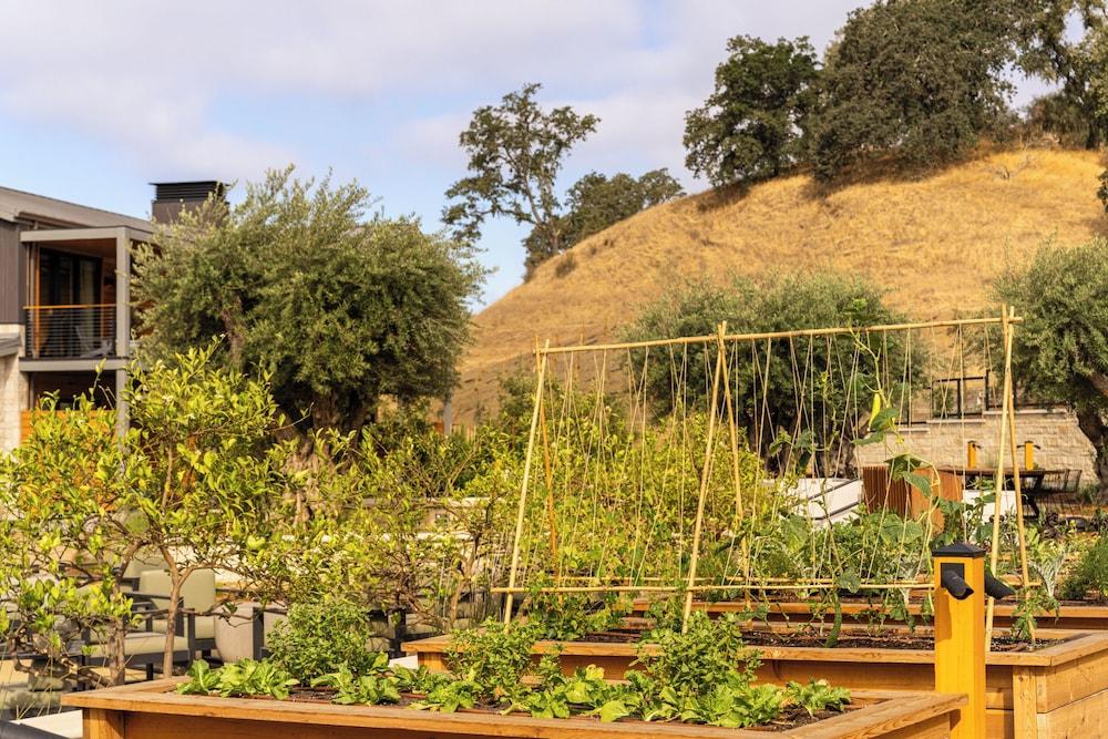 Appellation Healdsburg photo 59