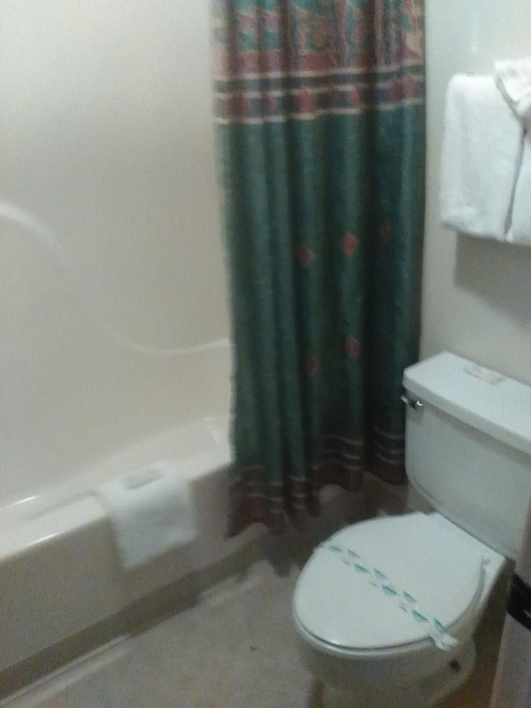 The Razorback Lodge photo 27