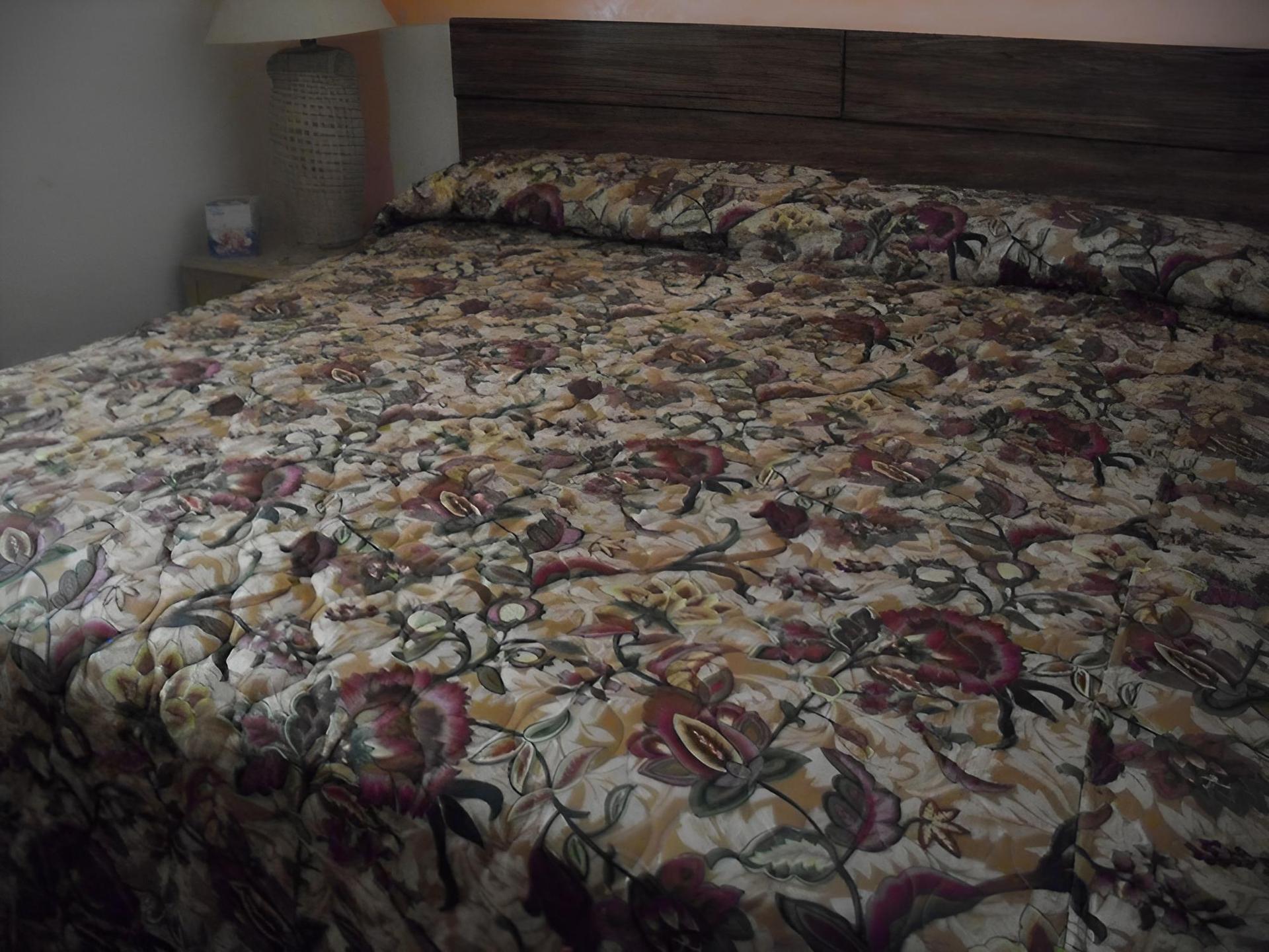 Shore Winds Motel photo 36