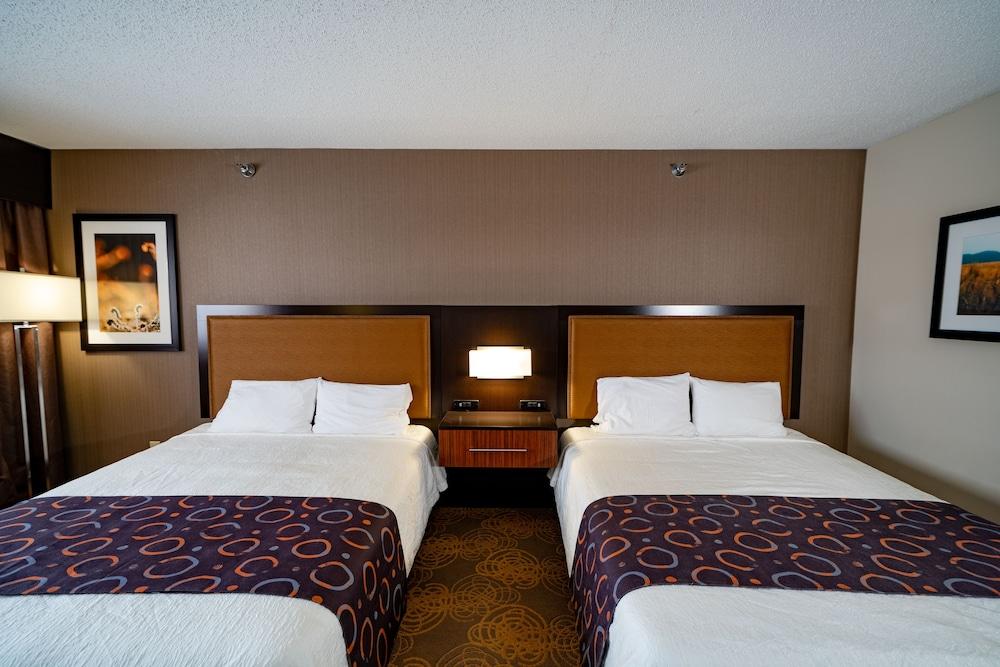 Royal River Casino and Hotel photo 14