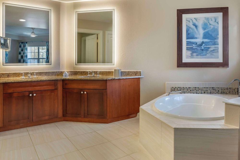 Hilton Grand Vacations Club SeaWorld® Orlando photo 37