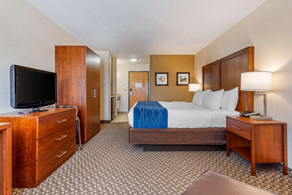 Comfort Inn & Suites near Route 66 photo 12