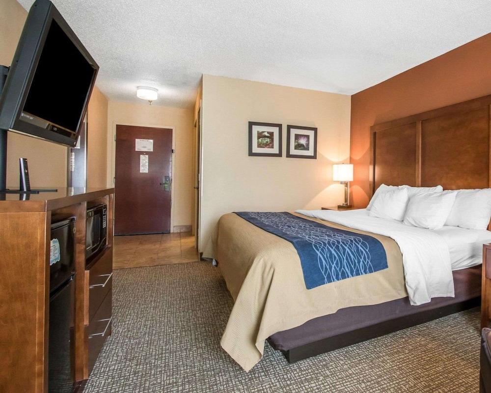 Comfort Inn Livingston photo 11
