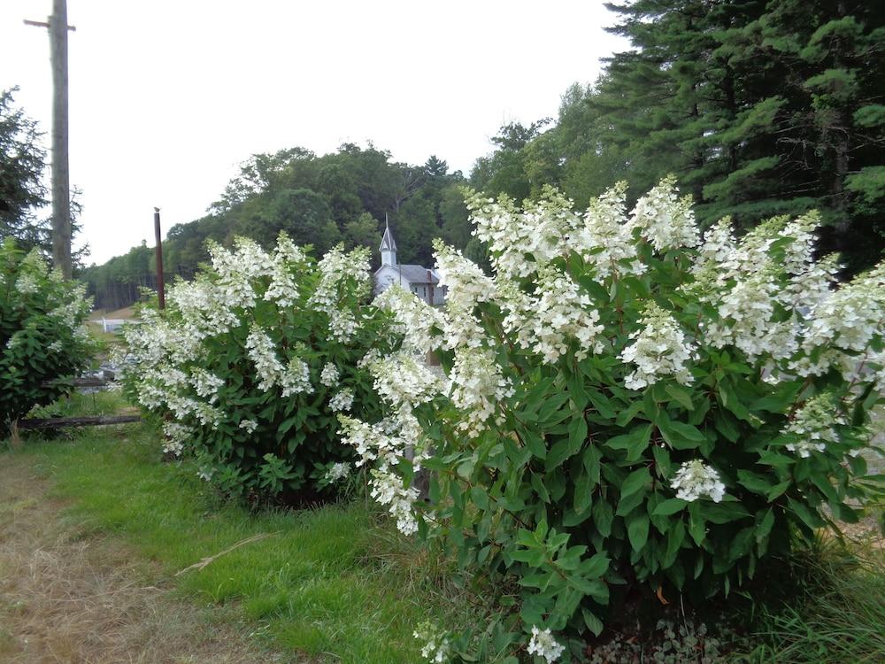 High Meadows Inn photo 38