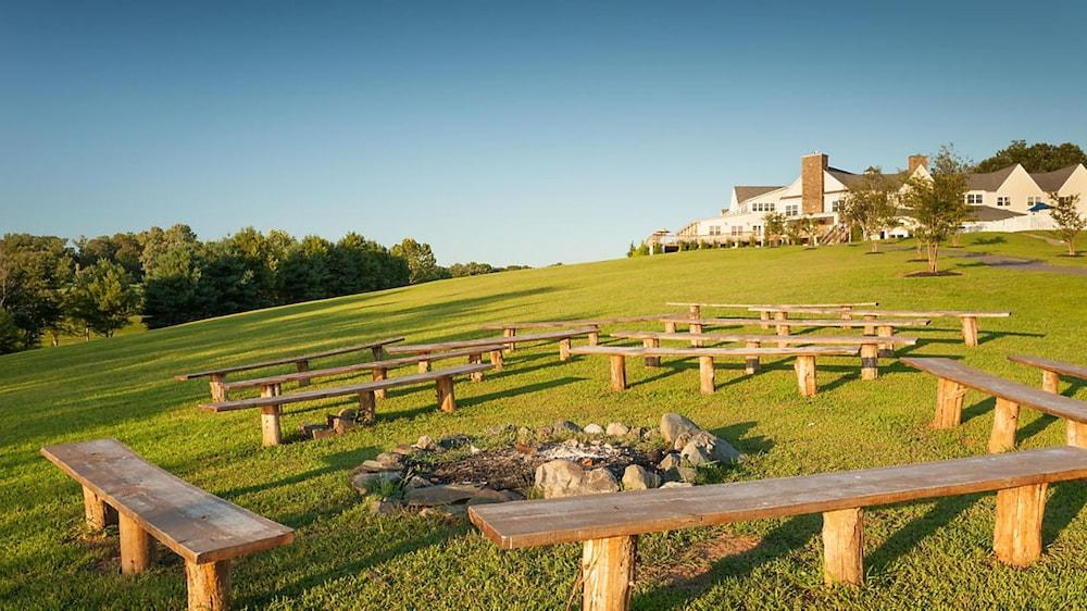 Shenandoah Wilderness Traveler photo 41