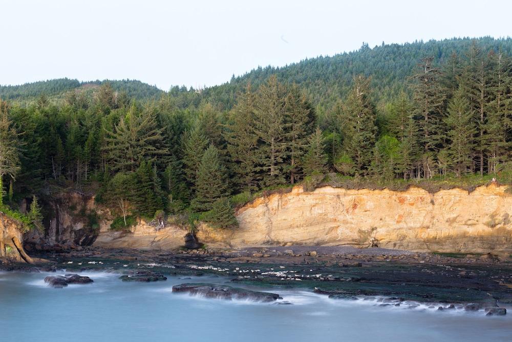Whale Cove Inn photo 28