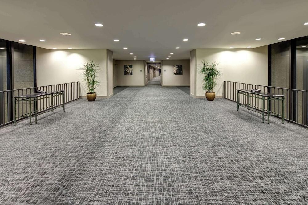 Hilton Chicago O'Hare Airport photo 95