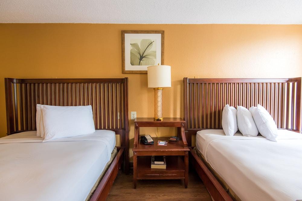 B&B Hotel Orlando International Drive Near Universal - Newly Renovated! photo 15