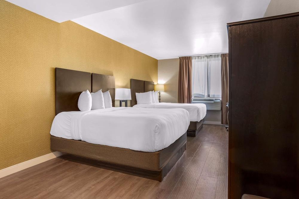 Best Western Plus Plaza Hotel photo 10
