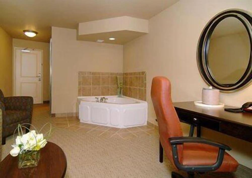 Comfort Suites near Hot Springs Park photo 23