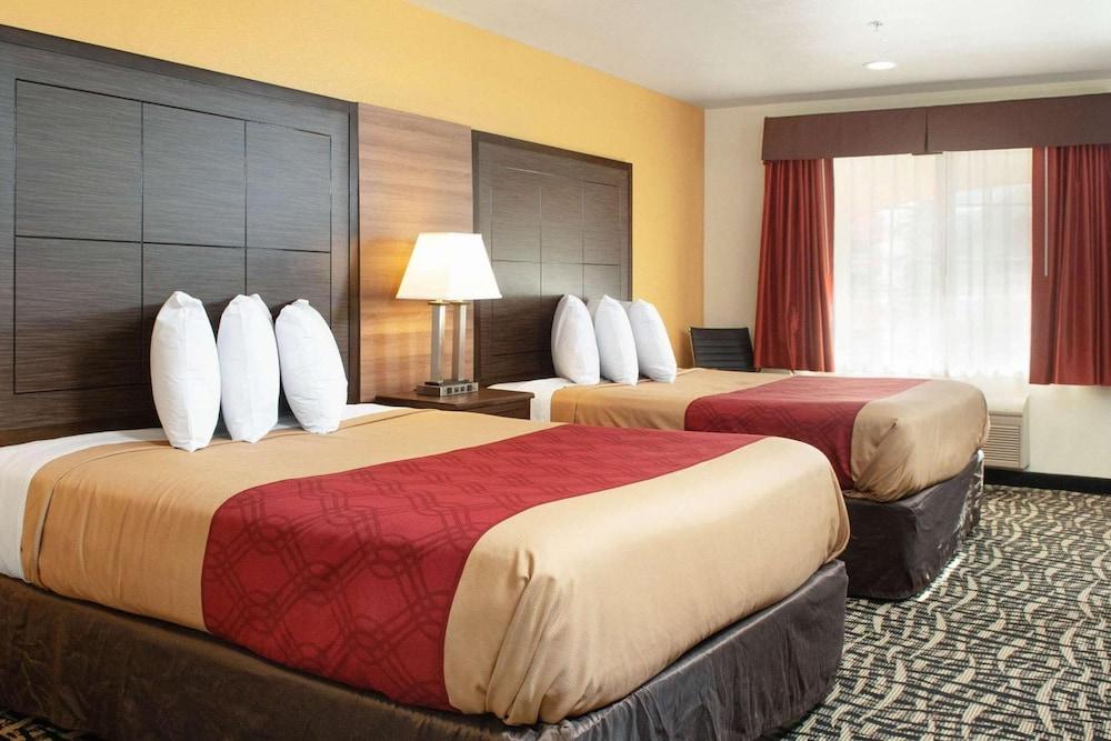 Executive Inn photo 9