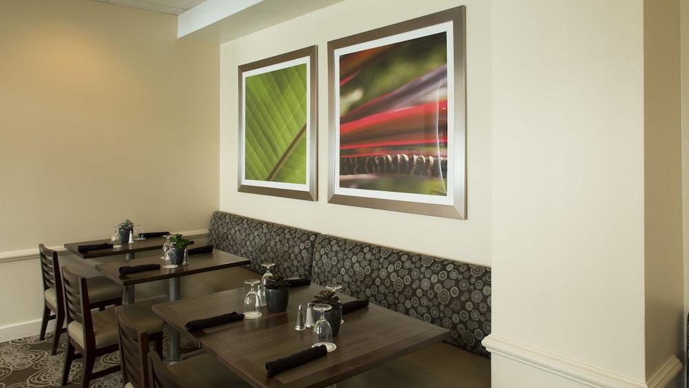 Holiday Inn Houston S - Nrg Area - Medical Center by IHG photo 12