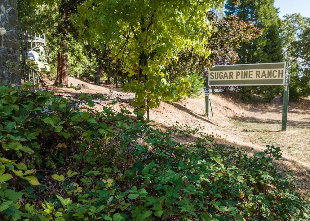 Inn at Sugar Pine Ranch photo 6