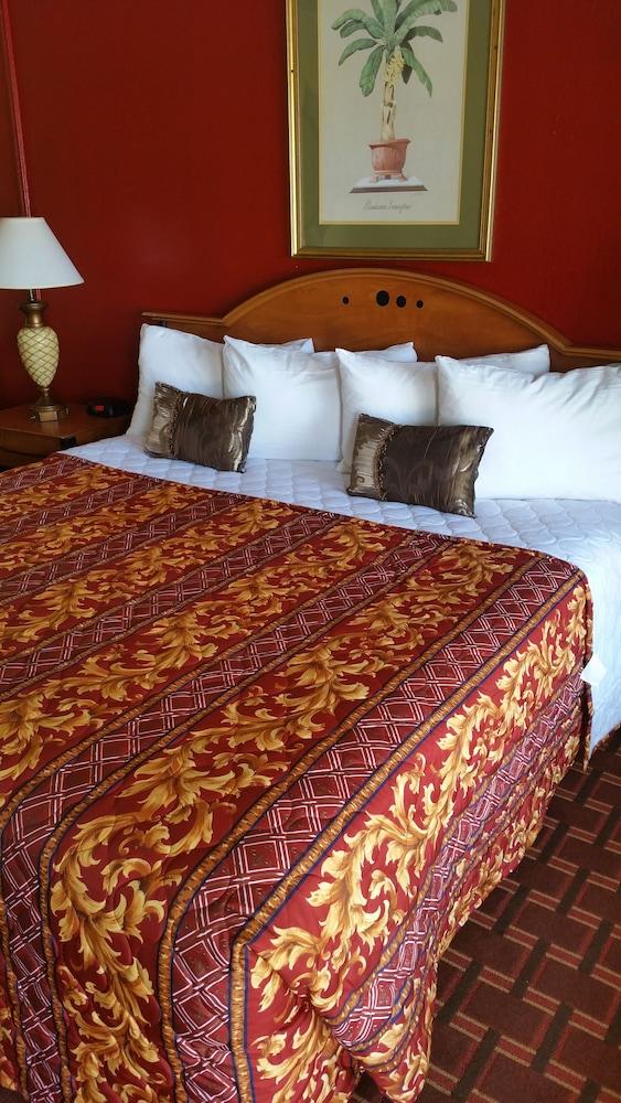 Palms Inn photo 13
