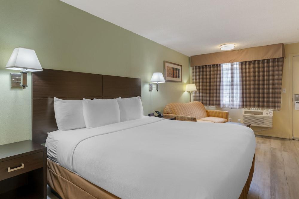 University Inn & Suites photo 12