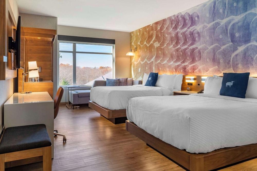 Cambria Hotel Manchester South Windsor photo 9