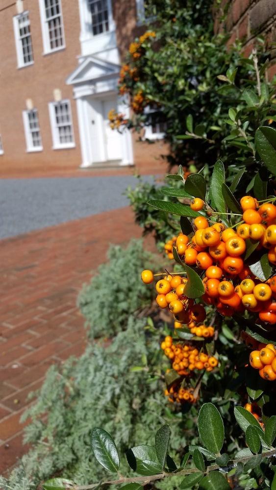 Albemarle Estate at Trump Winery photo 2
