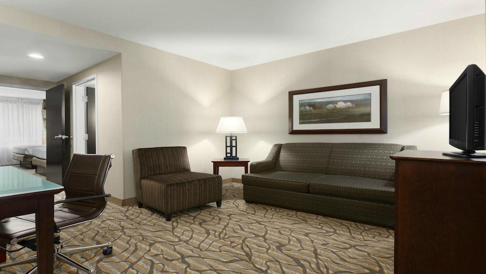 Holiday Inn Hotel & Suites Williamsburg-Historic Gateway by IHG photo 33