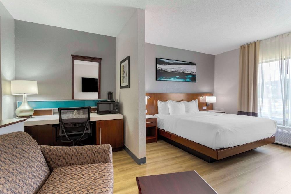 Comfort Suites Kodak Sevierville photo 32