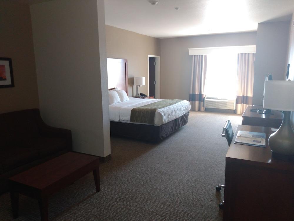 Comfort Inn Midland South I-20 photo 23