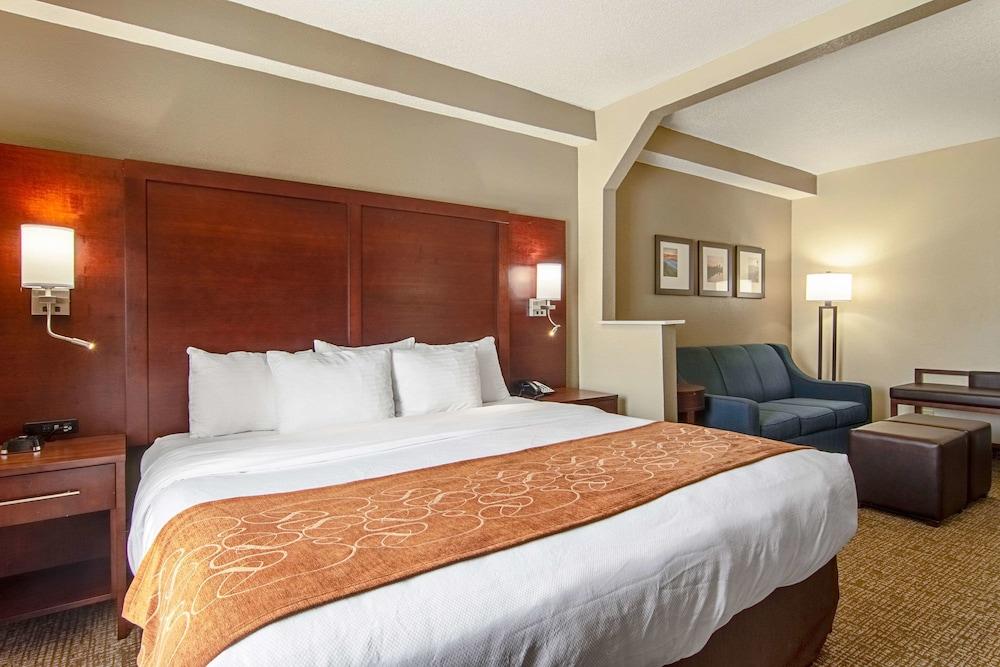 Comfort Suites Knoxville Airport photo 14