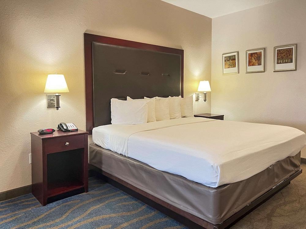Quality Inn & Suites Houston Northwest - Cypress photo 6