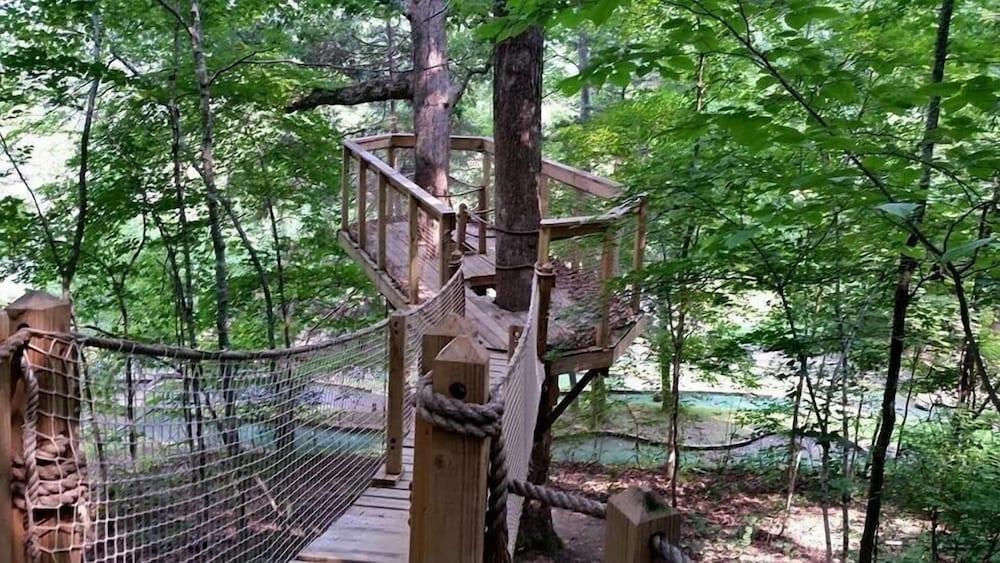 Wilderness Lodge photo 33