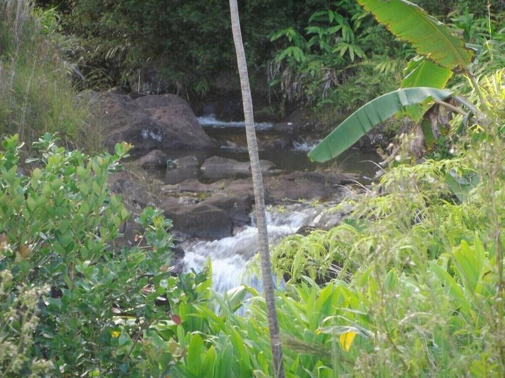 Kikala Waterfall Lodge photo 60