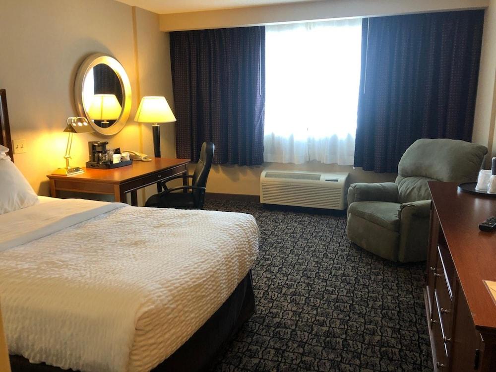 Cayuga Blu Hotel photo 4