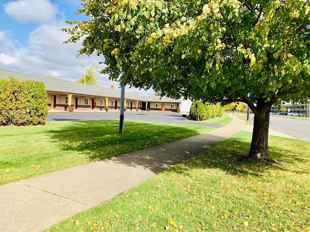 Motor City Inn & Suites photo 8