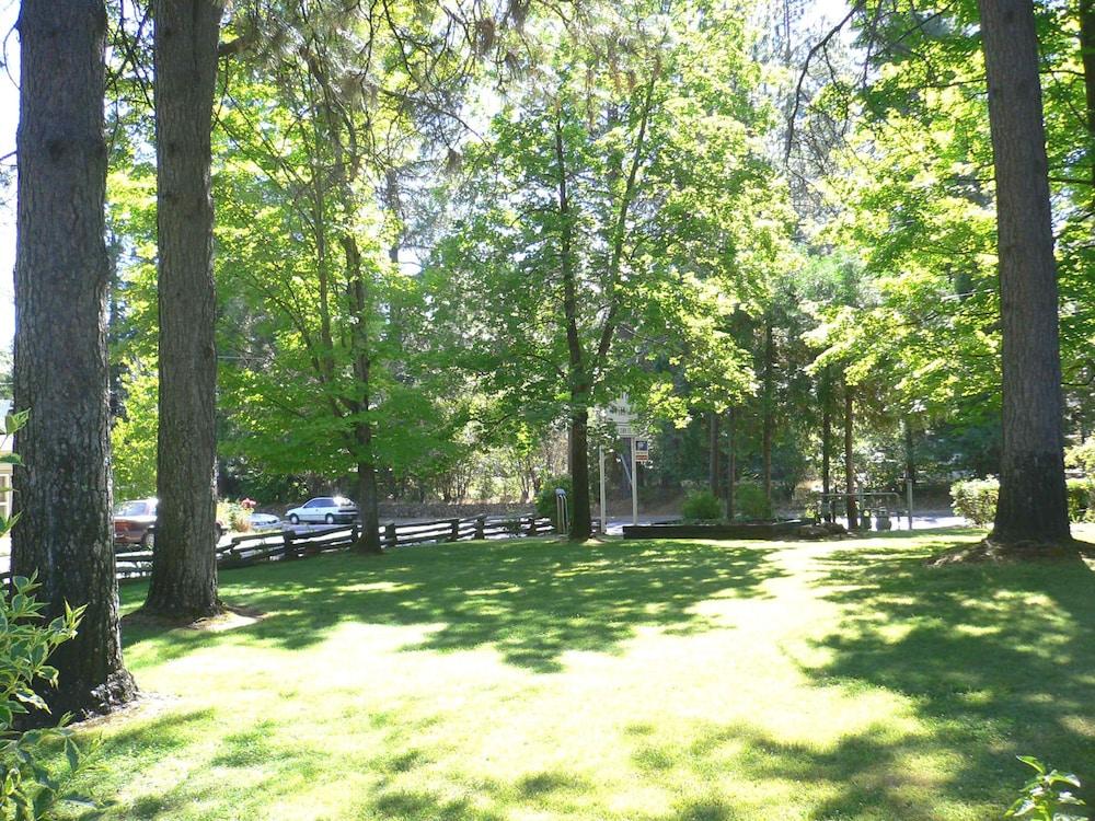 Nevada City Inn photo 12