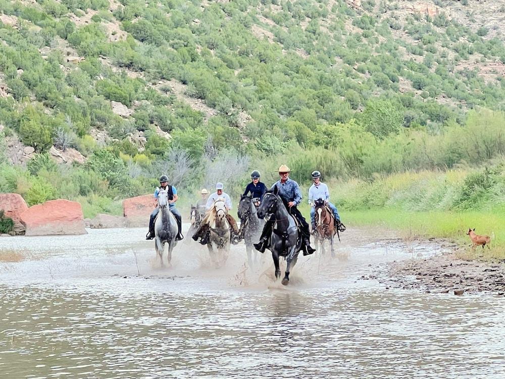 Teepee Lodge with Equus & Firearms/ranch photo 75