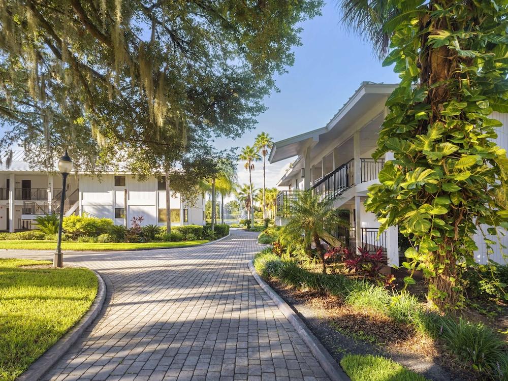 Saddlebrook Resort photo 90