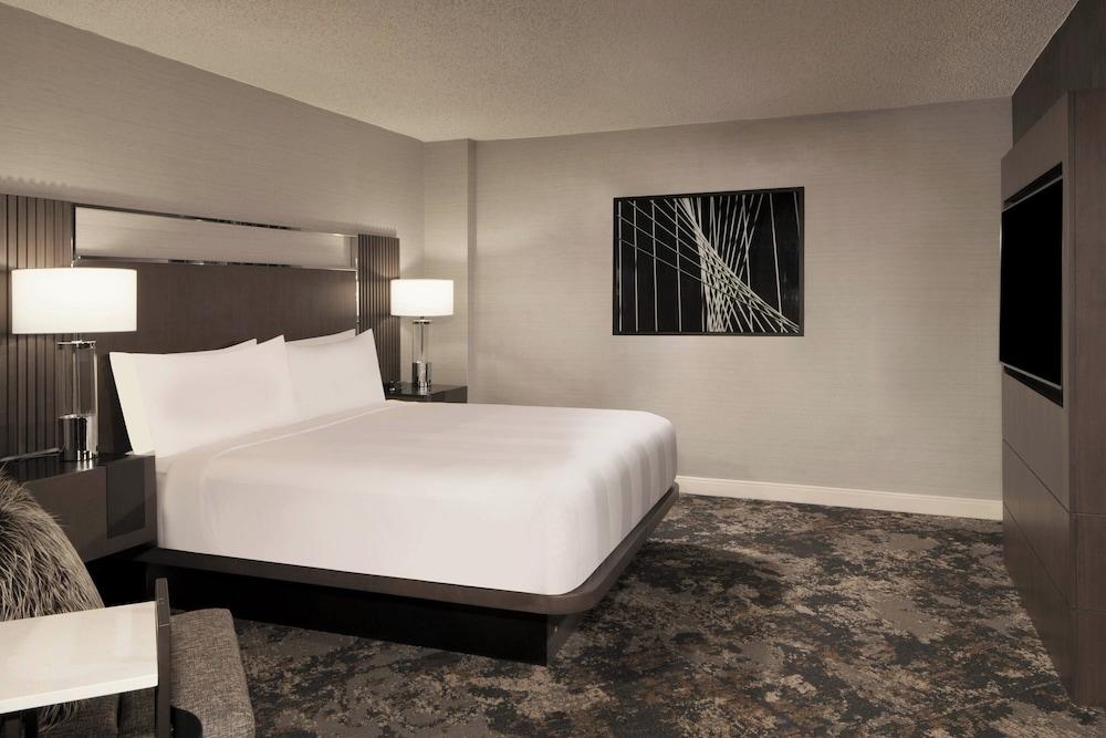 Dallas/Fort Worth Airport Marriott photo 25