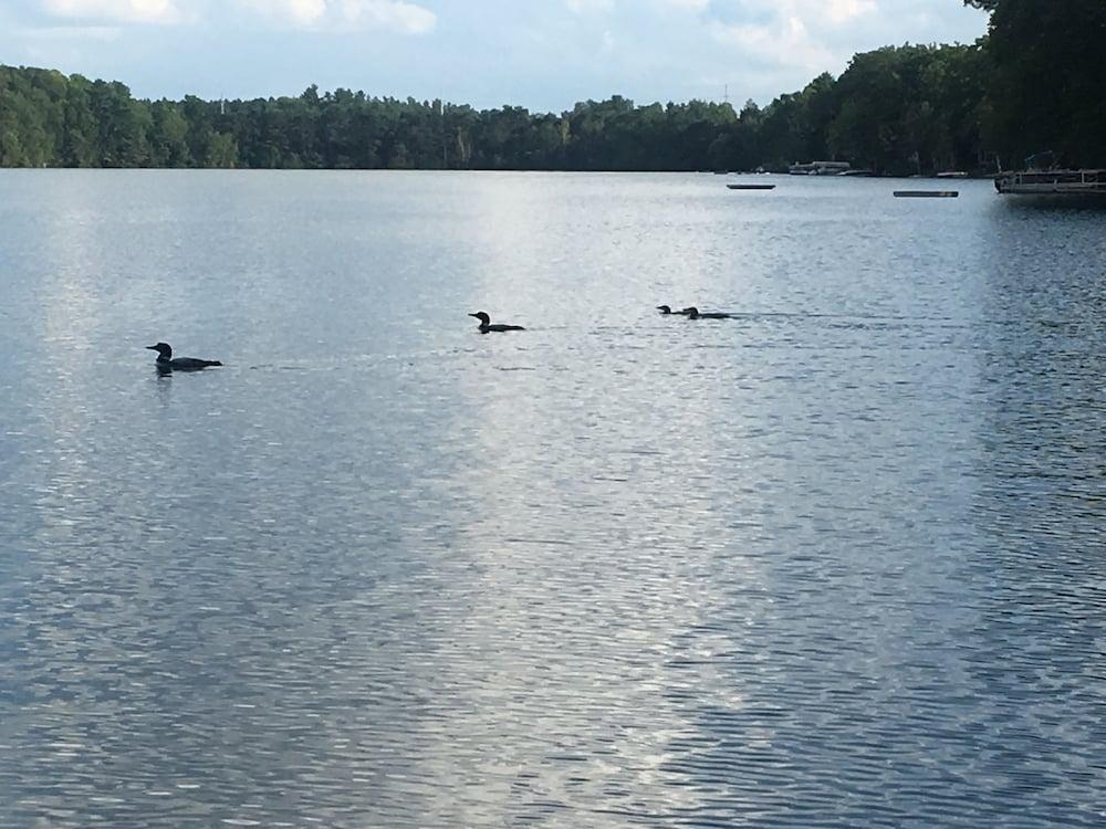 Dixon Lake Resort photo 47