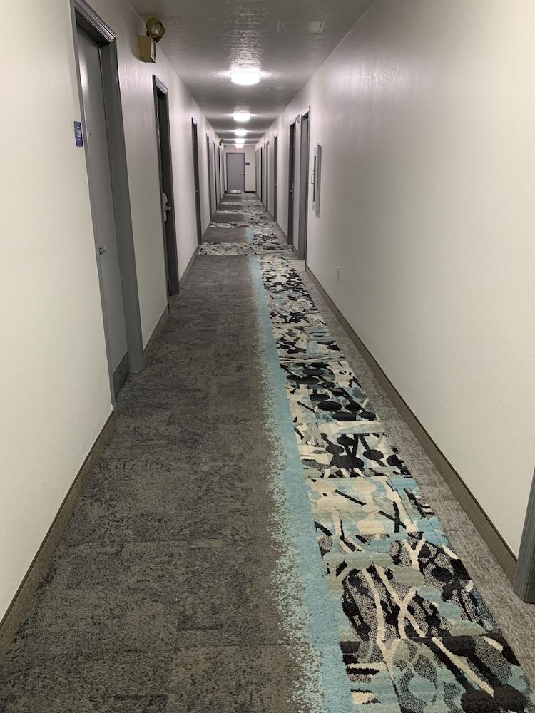 DuPont Suites photo 14