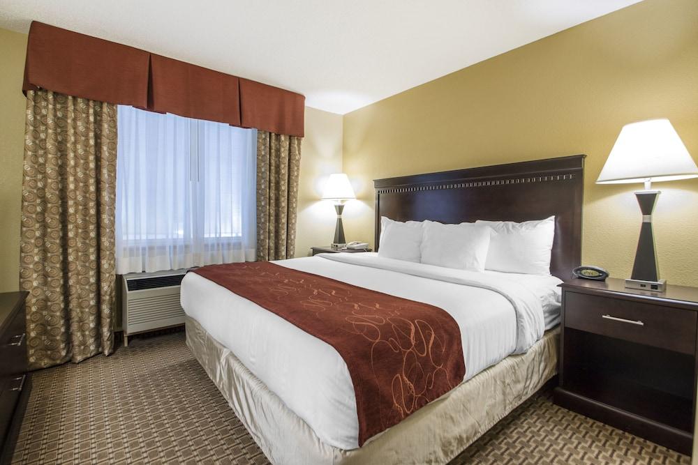 Comfort Suites Wisconsin Dells Area photo 51