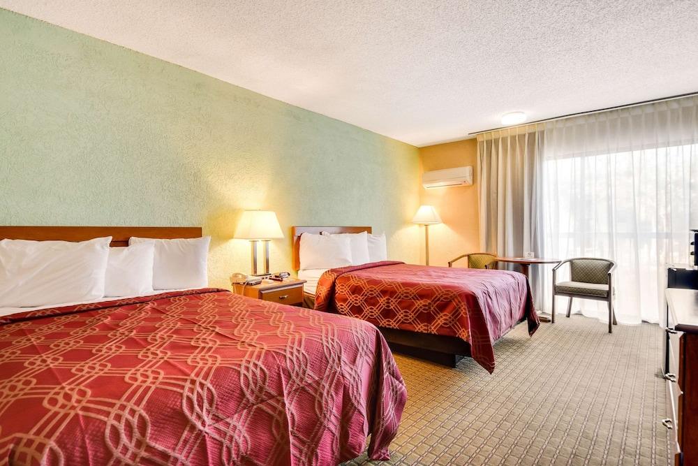 Econo Lodge Tampa near Busch Gardens photo 44