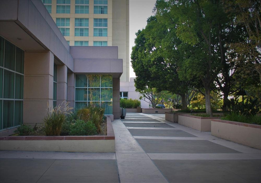 Hilton Los Angeles North/Glendale photo 36