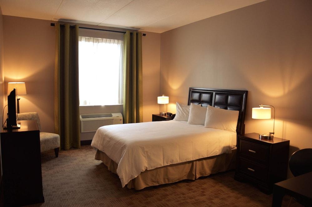 Belvedere Inn photo 15