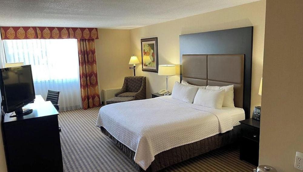 Reading Vitality Hotel photo 7